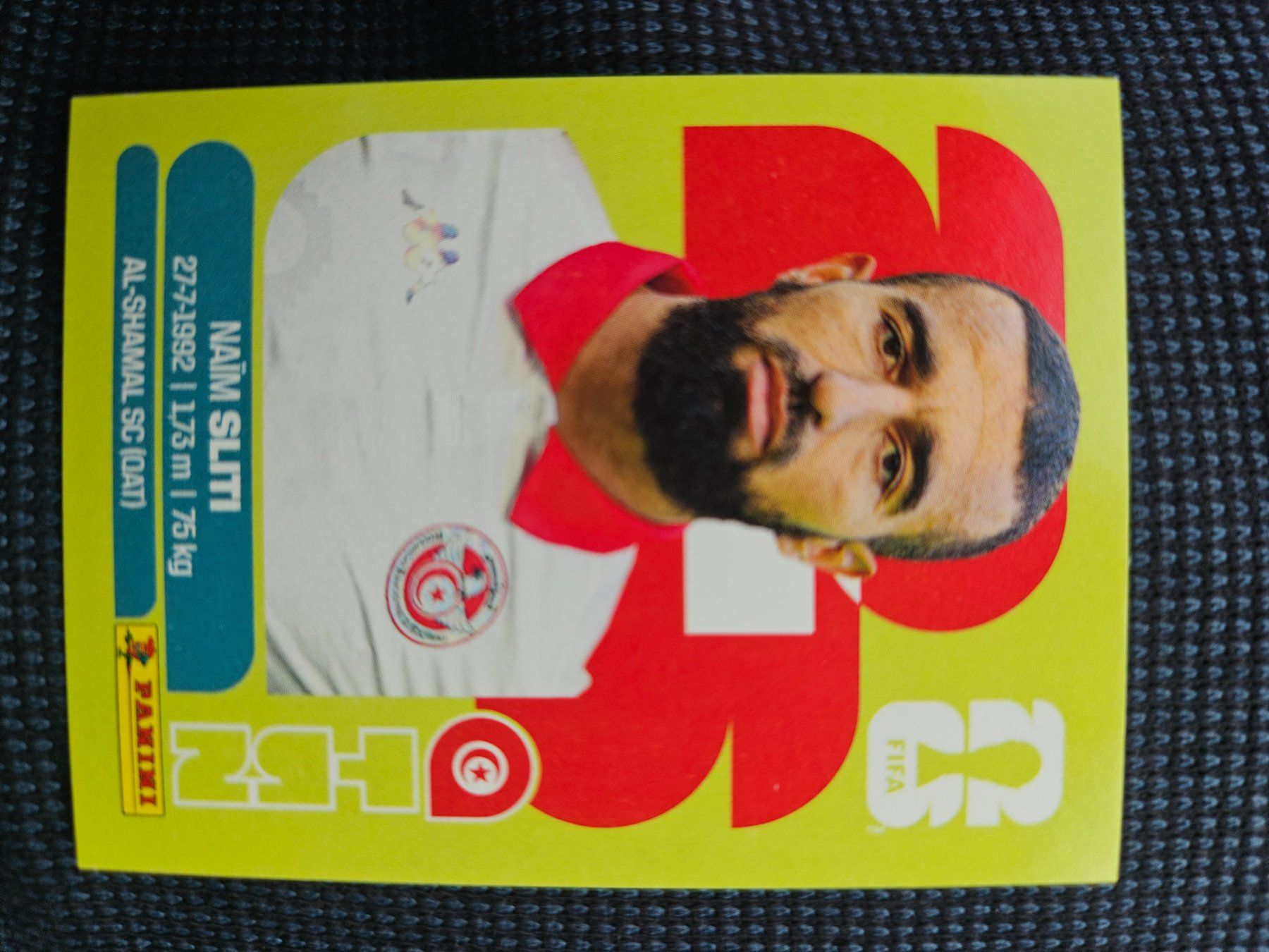 Panini Carte collezionabili: TUN 20 – Usato da Würenlingen venduto da Dinli
