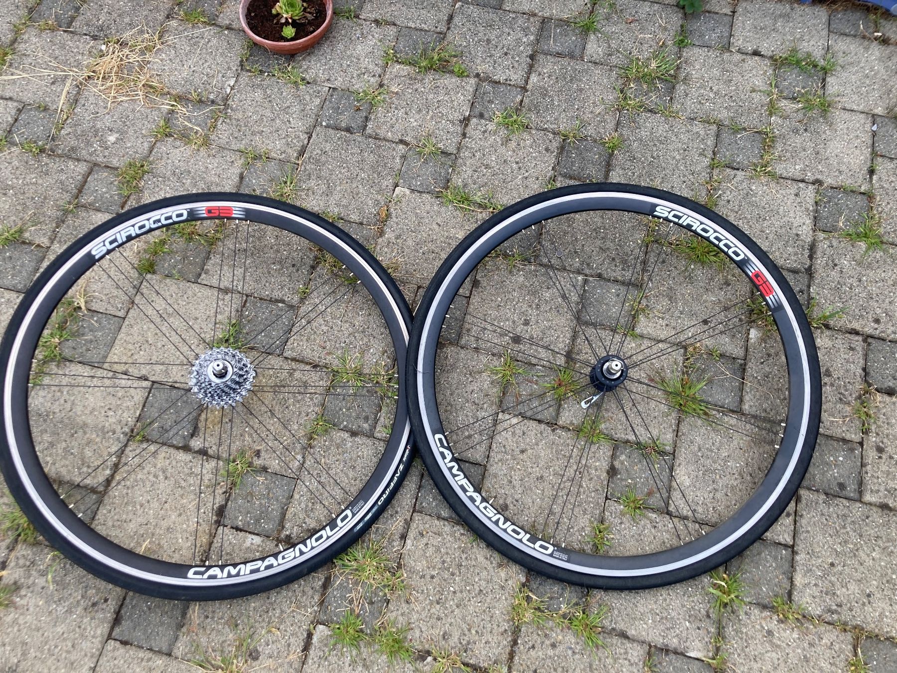 Biciclette: ITCA Carbon Rennrad – Usato da Winterthur venduto da bumblebee02 3