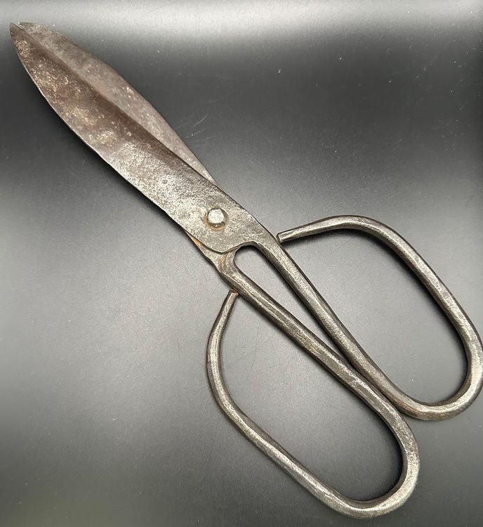 Forged Vintage Scissors