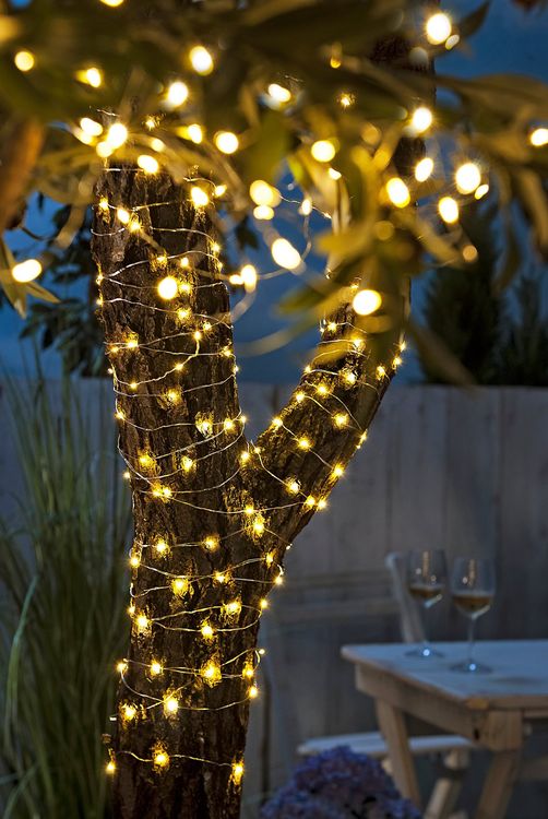 Kunststoffkabel Lichterkette WISD LED Lichterkette 33m – 600 Blaue & Weiße LEDs, Dunkelgrünes Kabel, Mit Timer & EU-Stecker, Für Innen & Außen (Weihnachtsbaum, Balkon, Garten)