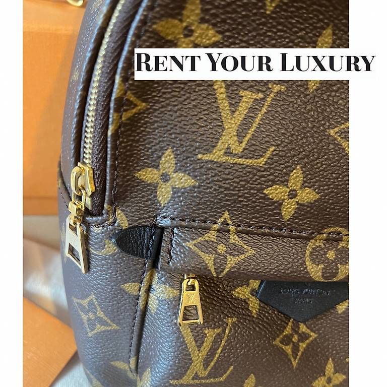 Louis Vuitton Zaini: Louis Vuitton Palm Spring mini – Usato da Balzers venduto da mc-mary 1