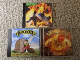 3x Krokus 