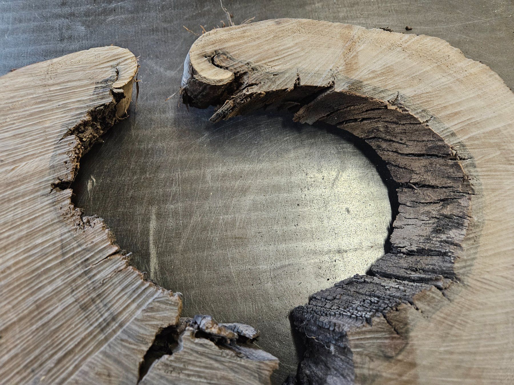 Articoli in legno: Nussbaum Holz Baumscheibe – Nuovo (secondo la descrizione) da Schangnau venduto da egli6.2 2