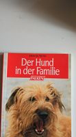 Der Hund in der Familie