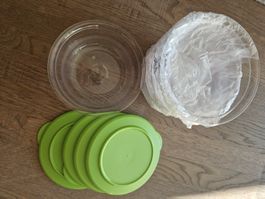 4er Set Tupperware Tafelperle 450ml grün *NEU
