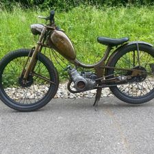 Profile image of Ratte77