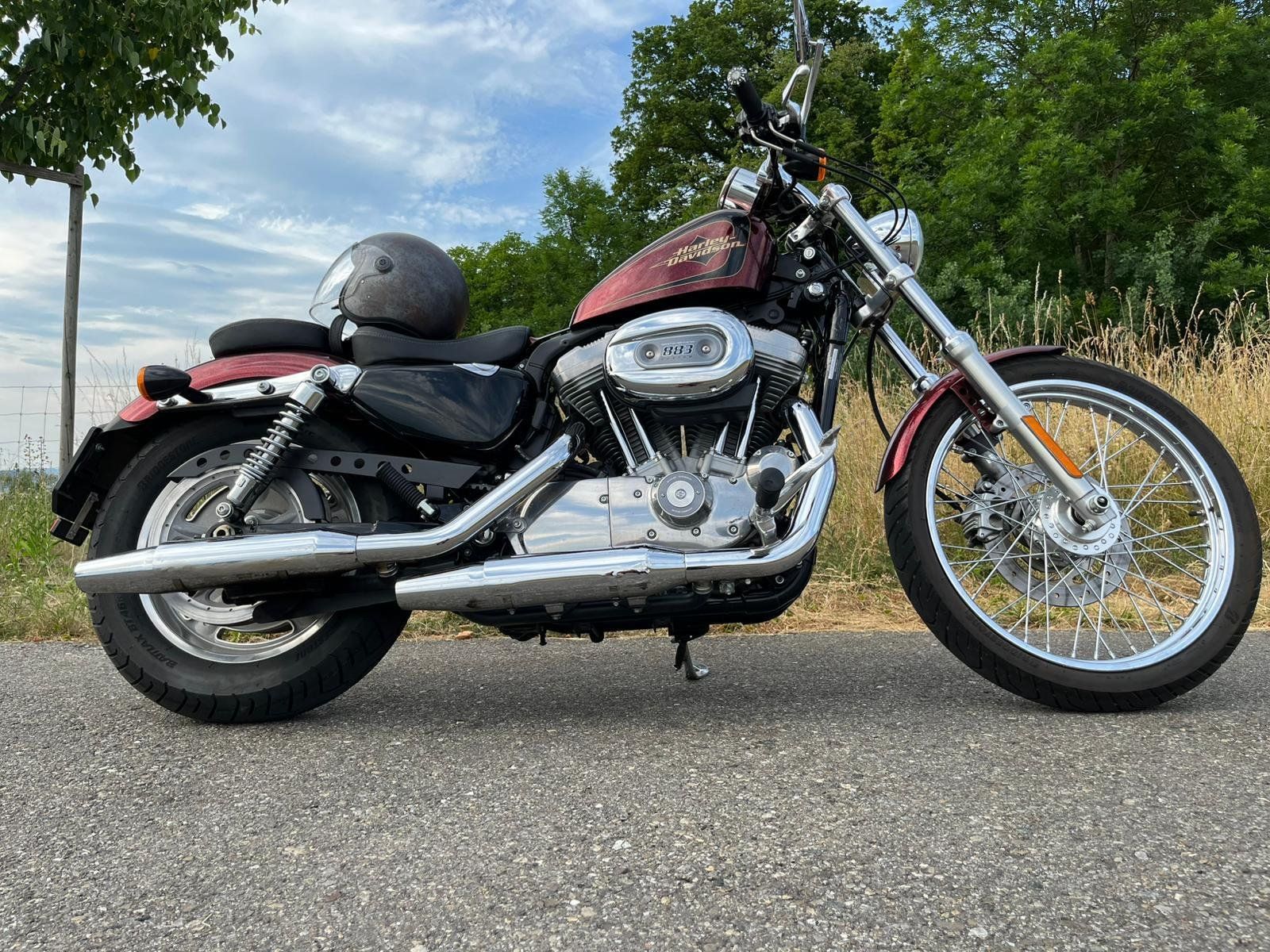 Harley-Davidson Chopper: HARLEY-DAVIDSON XL883C 25kW – Usato da Wil SG venduto da Prof.Eich 4