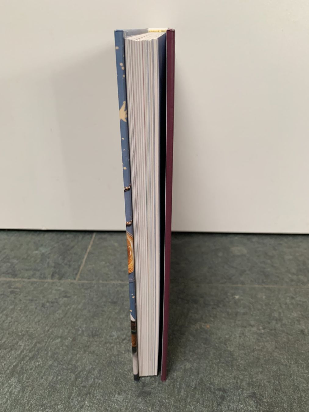Kit bricolage: Harry Potter - Das magische Bastelbuch – Usato da Uitikon Waldegg venduto da daniela_diana 3