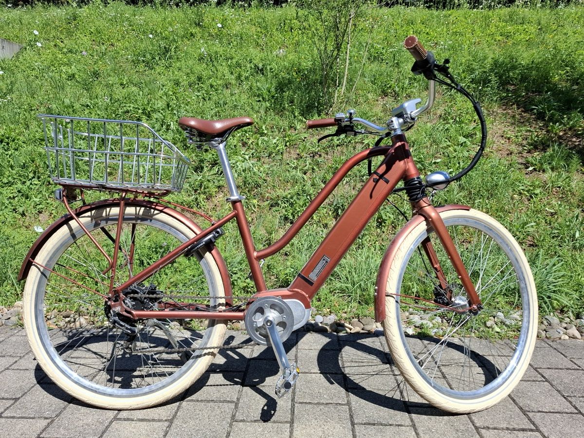 Ego Movement Vélos: Ego Movement Damen Ebike – D'occasion à Brüttisellen par FatPlaya