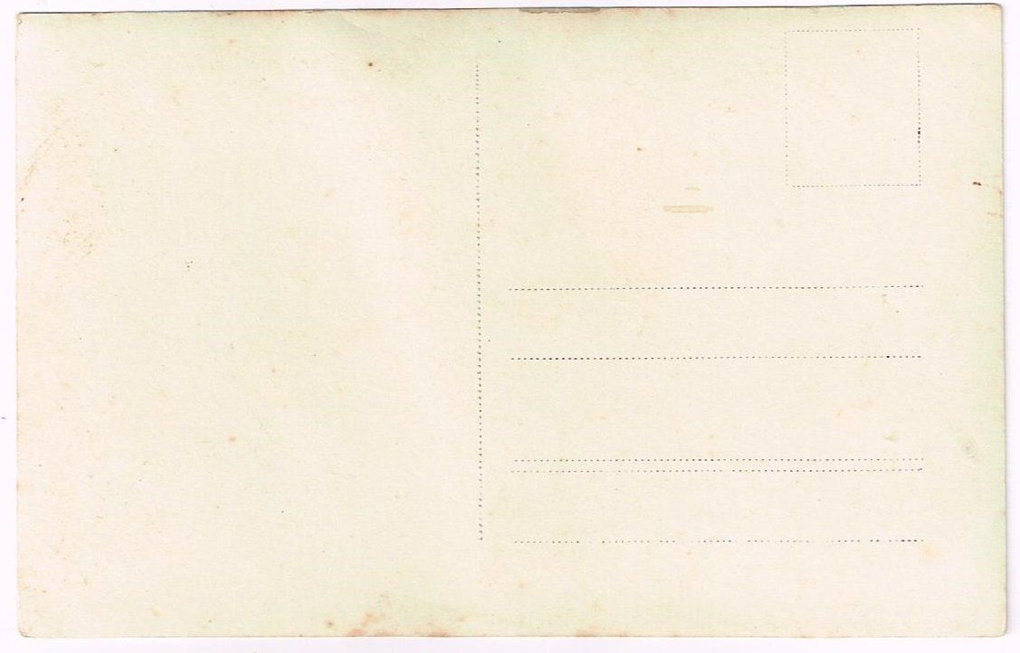 Cartoline postali: Landwirtschaft/Baumschule 1910 – Usato da Wil SG venduto da Clanx 1