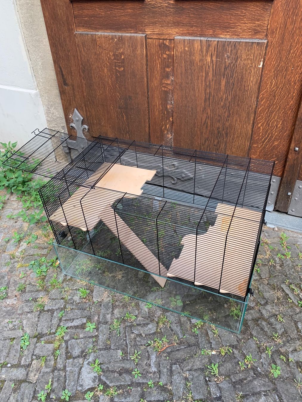 Terrarium: Nagerterrarium mit Gitteraufsatz – Gebraucht aus Bülach von kaj_jsj2 1