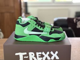 Jumpman Travis green spark 45eu/11us