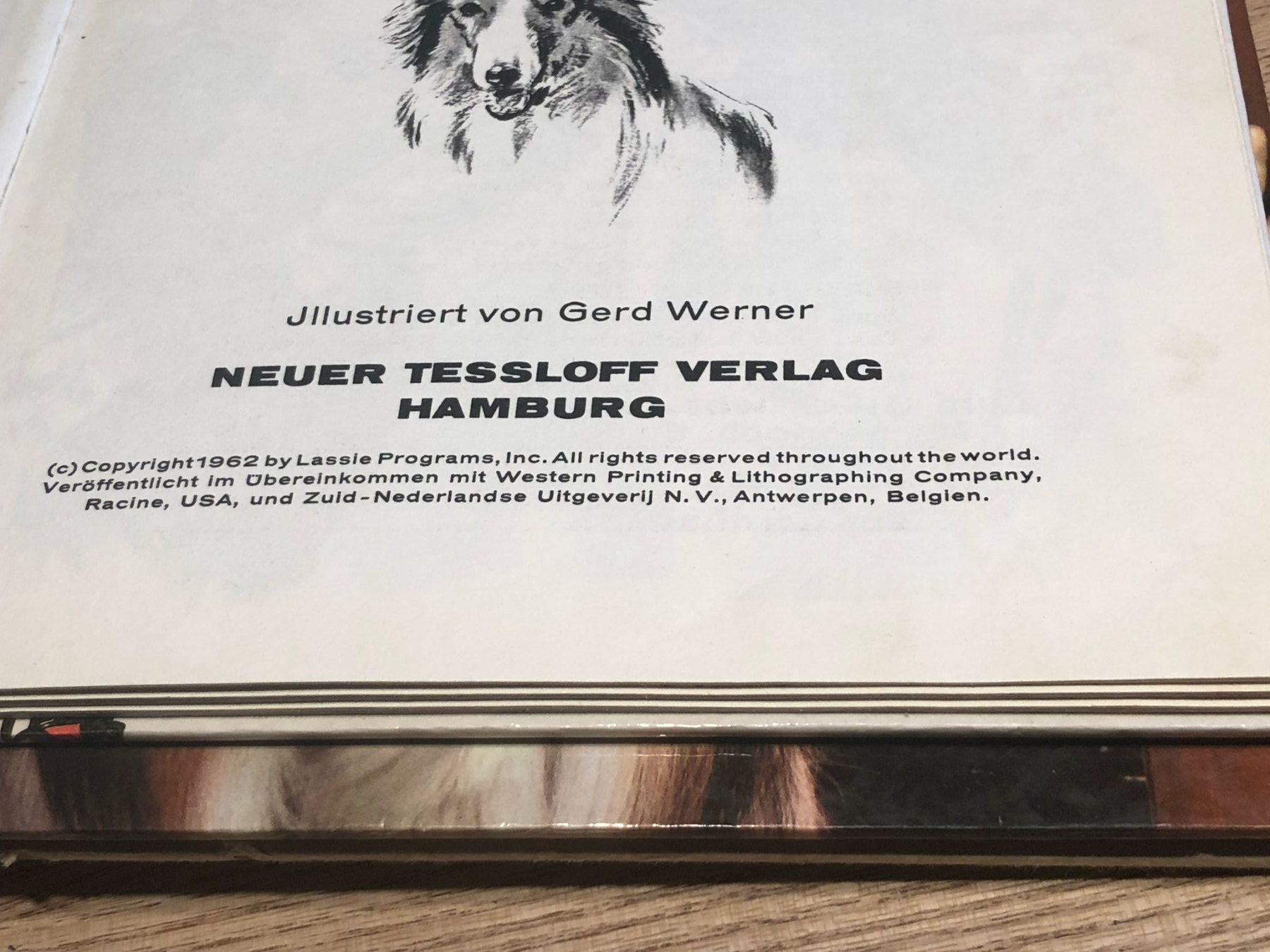 Libri: "Lassie" 4 Kinder-/Jugendbuchklassiker – Usato da Röschenz venduto da Tashroal 3