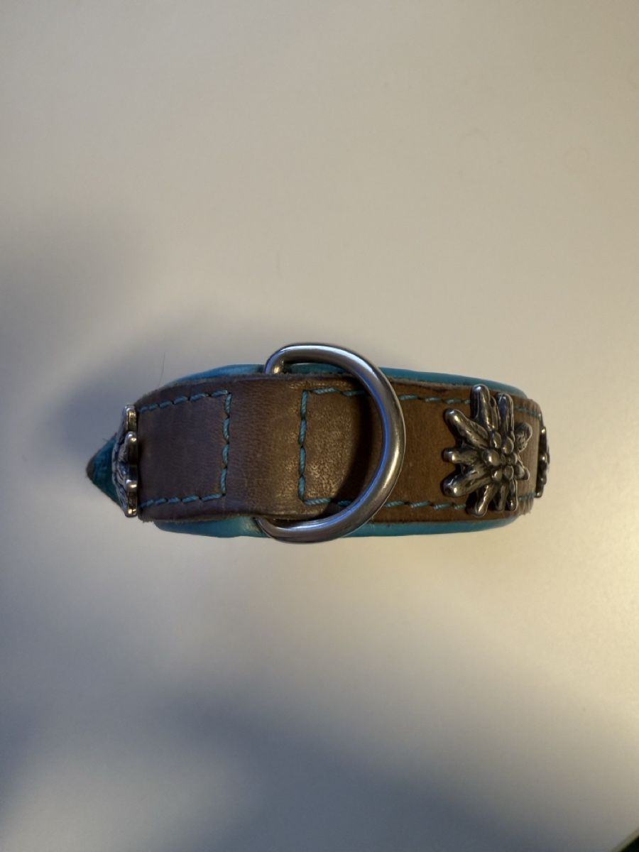 Guinzagli & Collari: Hundehalsband Leder mit Edelweiss – Usato da Kölliken venduto da pho_2wcw 1
