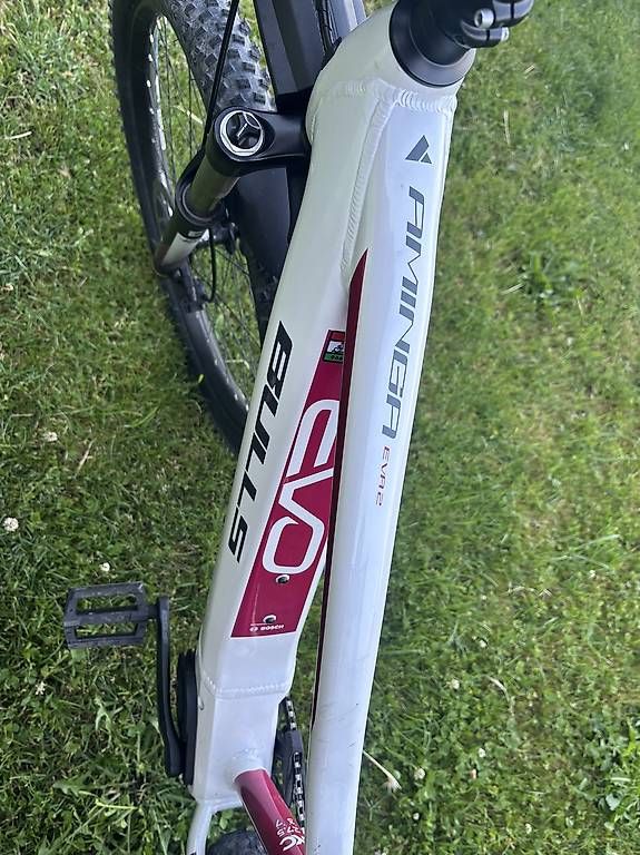 Bulls Biciclette: E Bike Bulls Aminga EVA 2 – Usato da Marbach SG venduto da Dala97 3