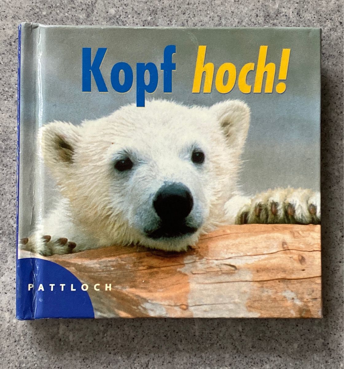 Libri: Kopf hoch! Büchlein – Usato da Niederbüren venduto da funkel06