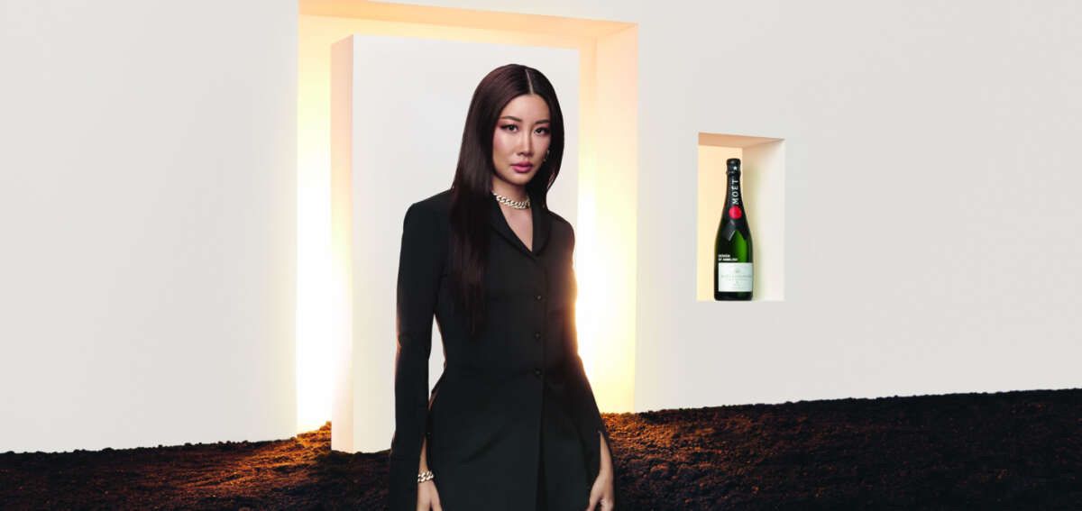 Moet Bevande alcoliche: Moët & Chandon AMBUSH Limited Edition Brut Impér. Champagner – Nuovo e nell'imballaggio originale da Luzern venduto da pengmarket_gmbh 2