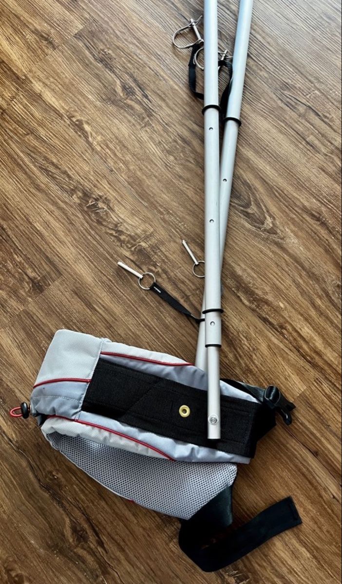 Thule Anhänger: Thule Chariot Ski Set – Gebraucht aus Stallikon von shop100 8