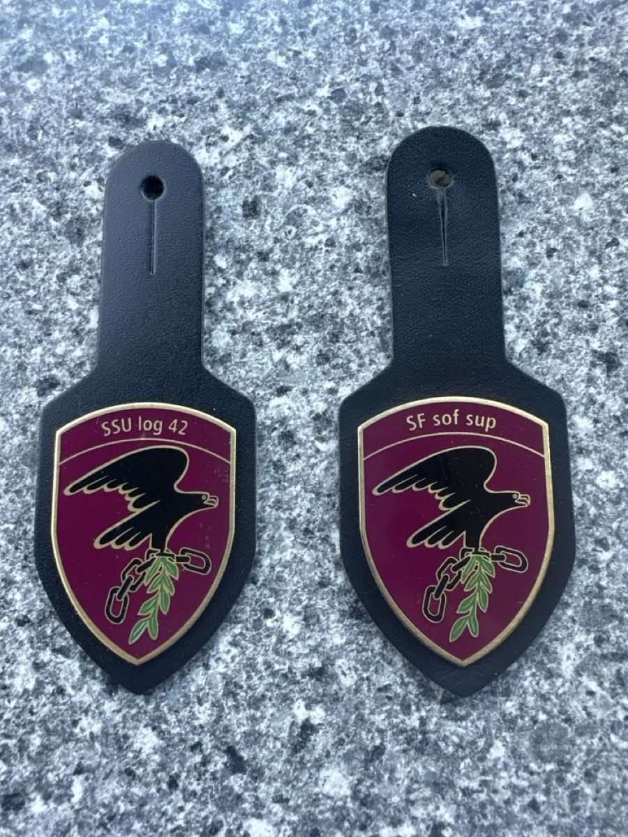 Schweizer Armee Placchette & Badge: Armee – Usato da Morbio Inferiore venduto da Ecod