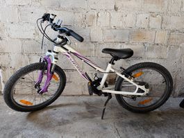 Specialized Hotrock 20’