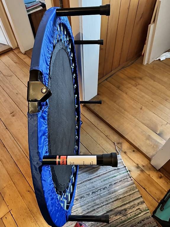 Trampolini: Mini-Trampolin Durchm. 100 cm – Usato da Villmergen venduto da Yegan5 1