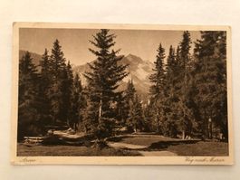 Arosa - Weg nach Alp Maran - 1.Preis Photoausstellung 1913