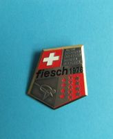 alpine Schweizer Skimeisterschaften der Herren Fiesch 1976