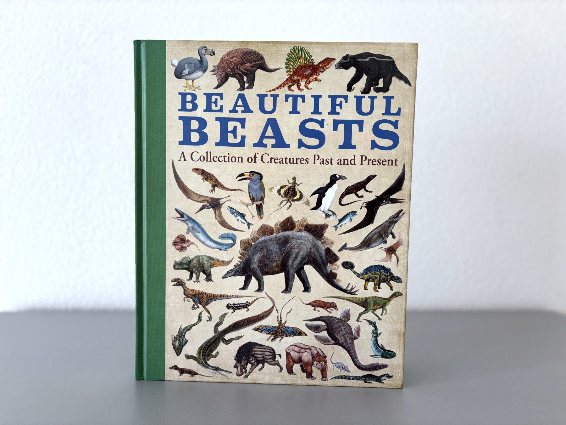 Bücher: Kinderbuch Buch Beautiful Beasts – Gebraucht aus Holzhäusern ZG von paula_w