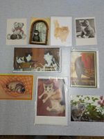 Restposten diverse Karten Katzen