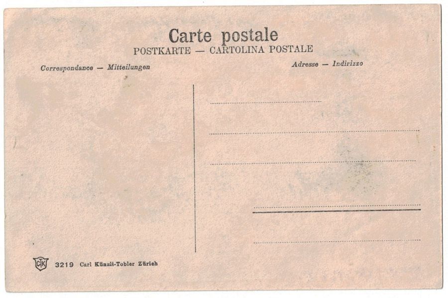 Cartoline postali: Baumgartenalp mit Tödi, um 1905-10 – Usato da Frauenfeld venduto da POML 1