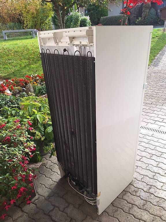 Congélateurs: MIELE Gefrirschrank – D'occasion à Uetendorf par Albi125 1