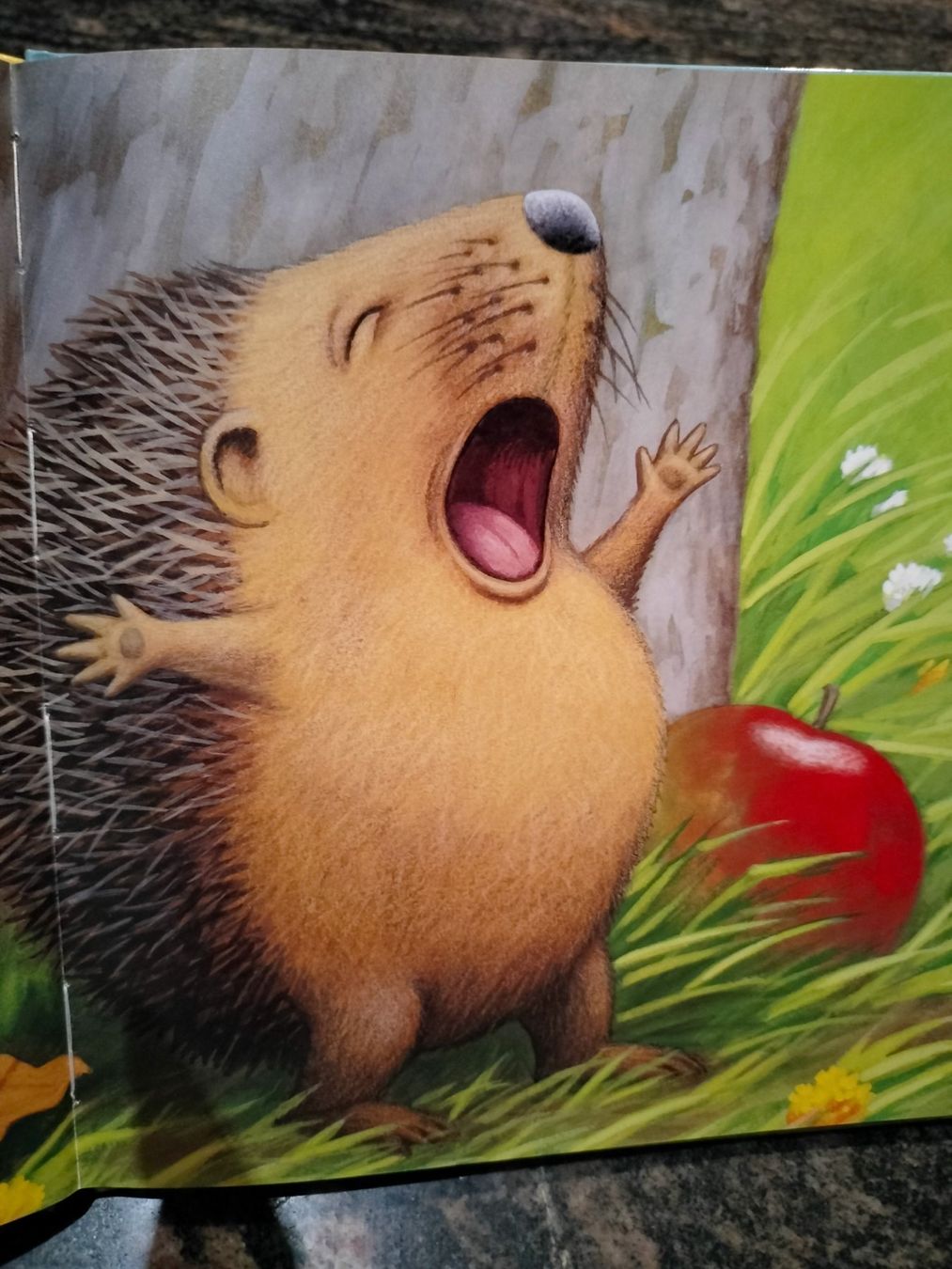 Bücher: La piquante aventure de hérisson – Gebraucht aus Cortaillod von rozinna 2
