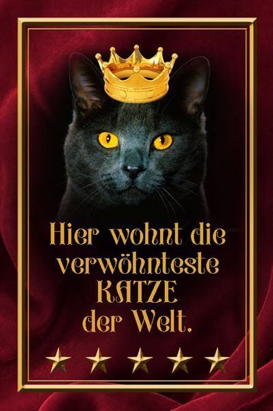 Insegne: Blechschild-HIER WOHNT VERWÖHNT. KATZE – Nuovo e nell'imballaggio originale da Rupperswil venduto da big-one-sale