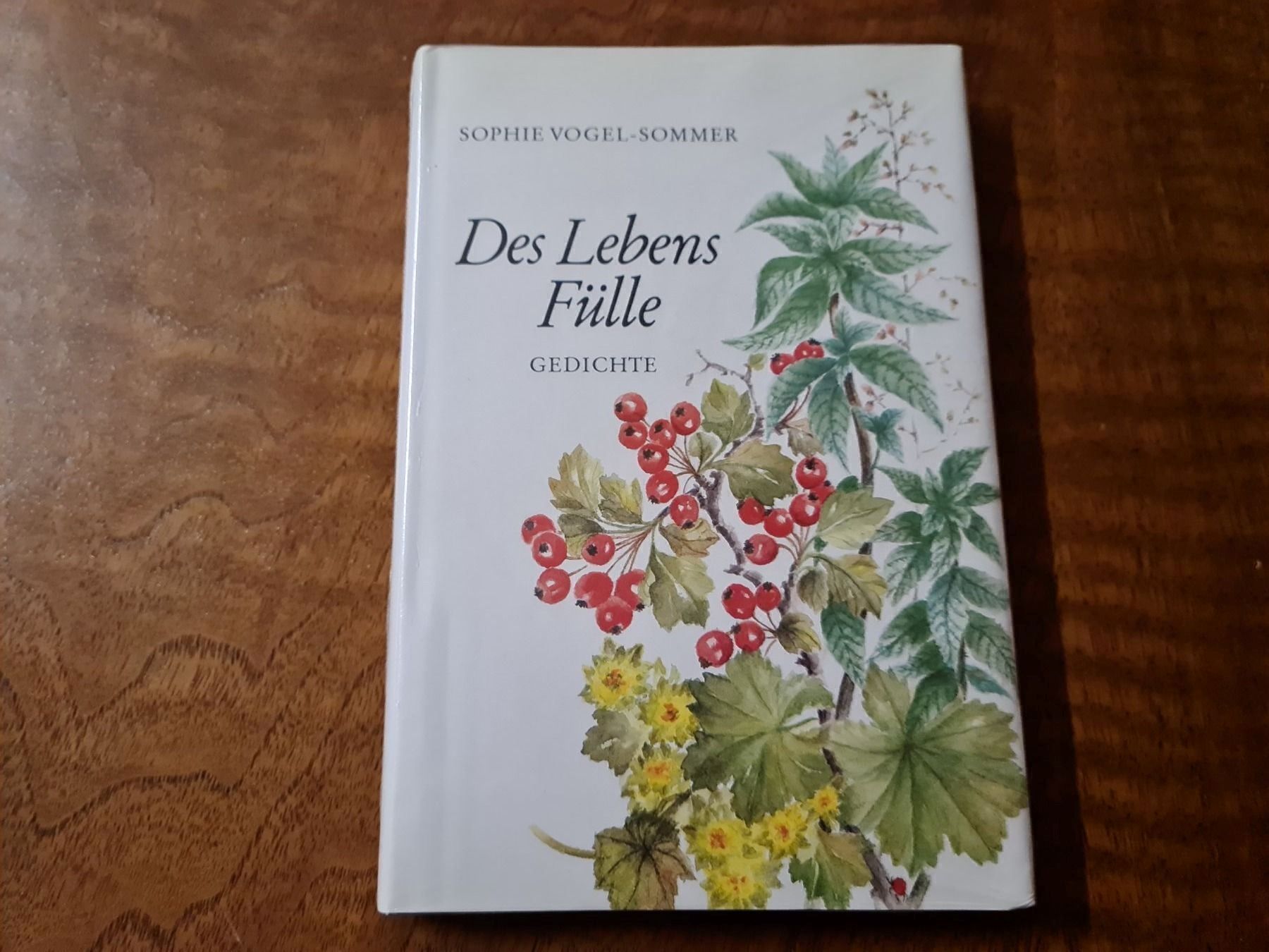 Libri: Des Lebens Fülle – Nuovo e nell'imballaggio originale da Erstfeld venduto da Mario_boe0