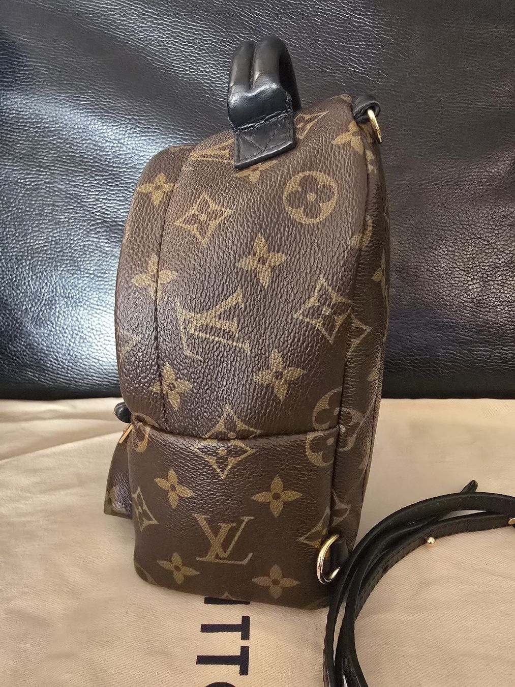 Louis Vuitton Taschen: Louis Vuitton M44873 Palm Springs Mini – Gebraucht aus Gattikon von lavric_d 2