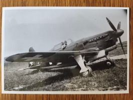 Foto Morane D-3801 Schweizer Luftwaffe
