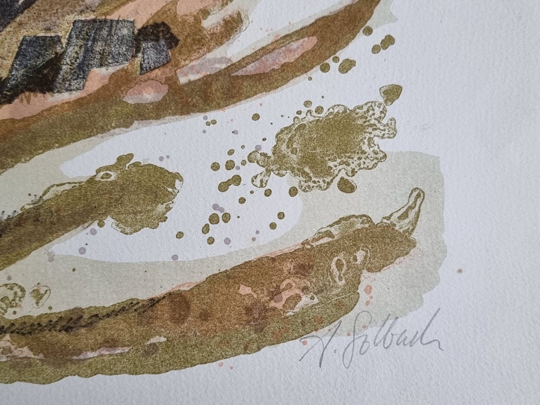 Grafica & Litografie: A.SOLBACH LITHOGRAPHIE SIGNIERT NUMMERIERT – Usato da Gersau venduto da grafik-kunst 5