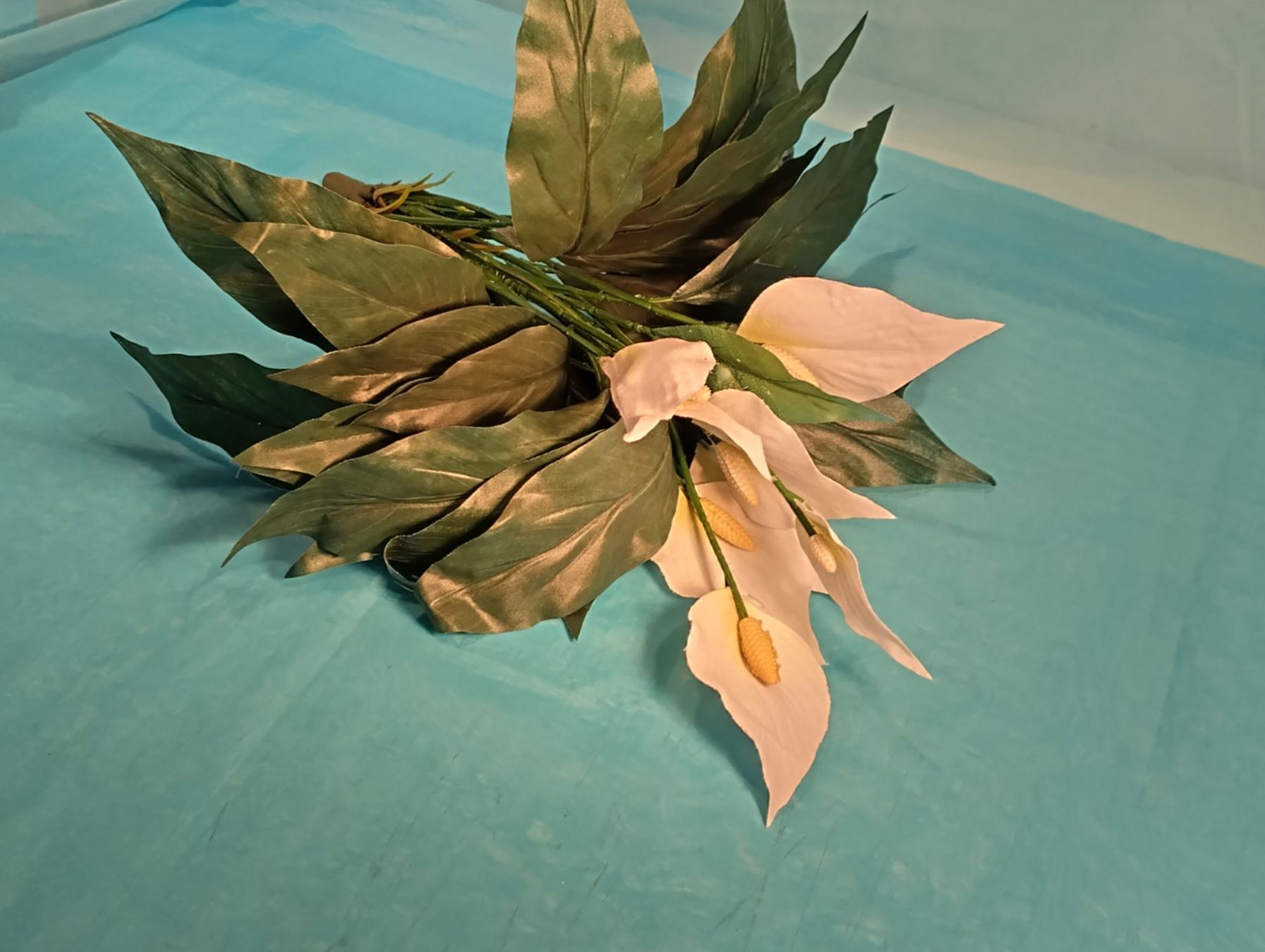 Pflanzen & Samen: Ganze Zimmerpflanze Calla – Gebraucht aus Bellach von JingleCherry 3