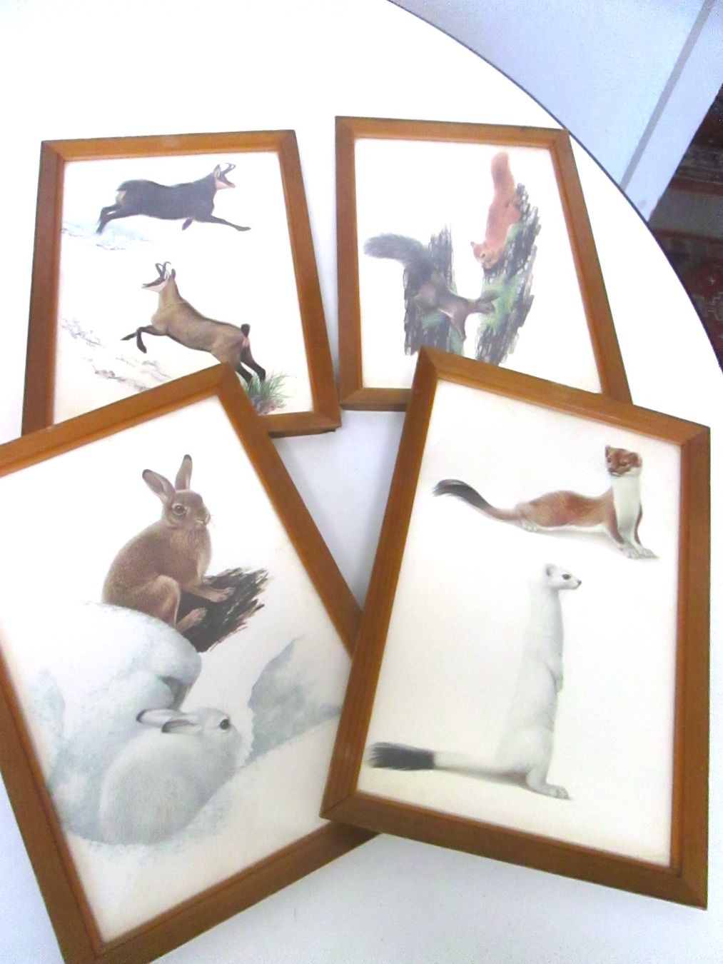 Foto & Immagini: 4 Vintage-Bild (Papier) – Usato da Sementina venduto da babucia
