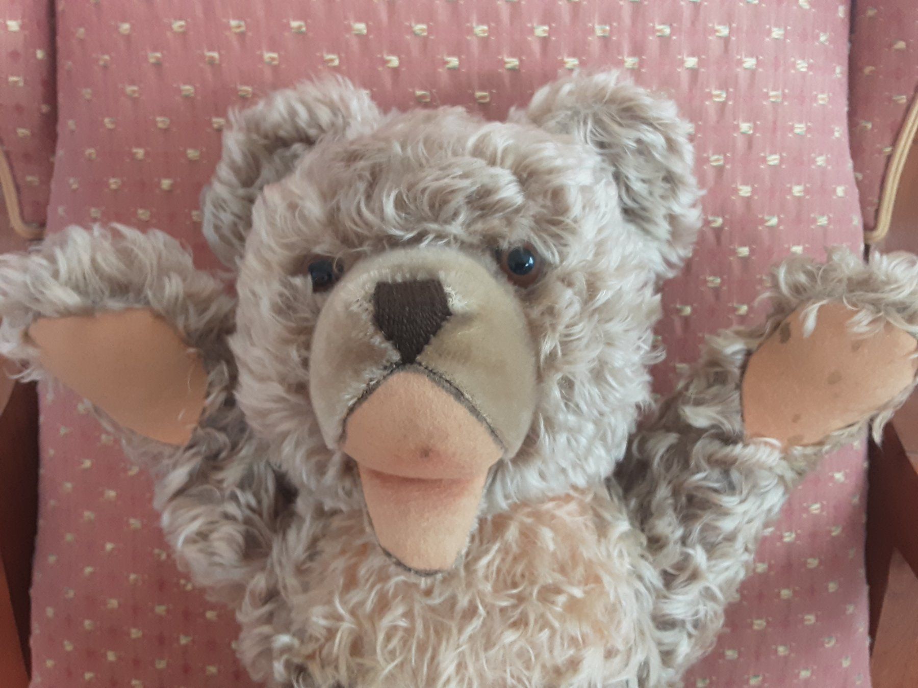 Giocattoli: STEIFF Zotty Teddybär – Usato da St. Gallen venduto da charly92 2