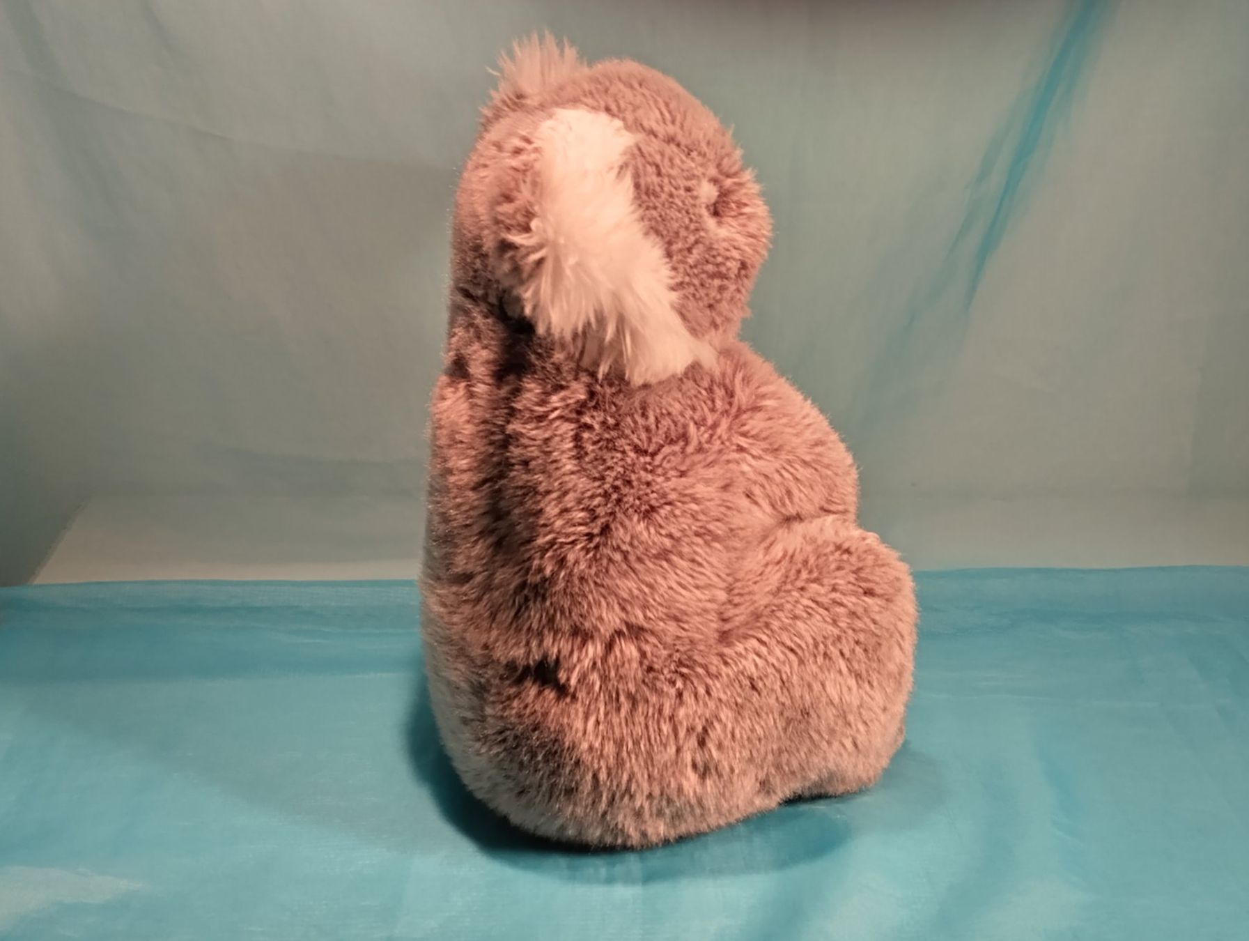 WWF Giocattoli: WWF Koala, L: 35cm – Nuovo (secondo la descrizione) da Bellach venduto da JingleCherry 1
