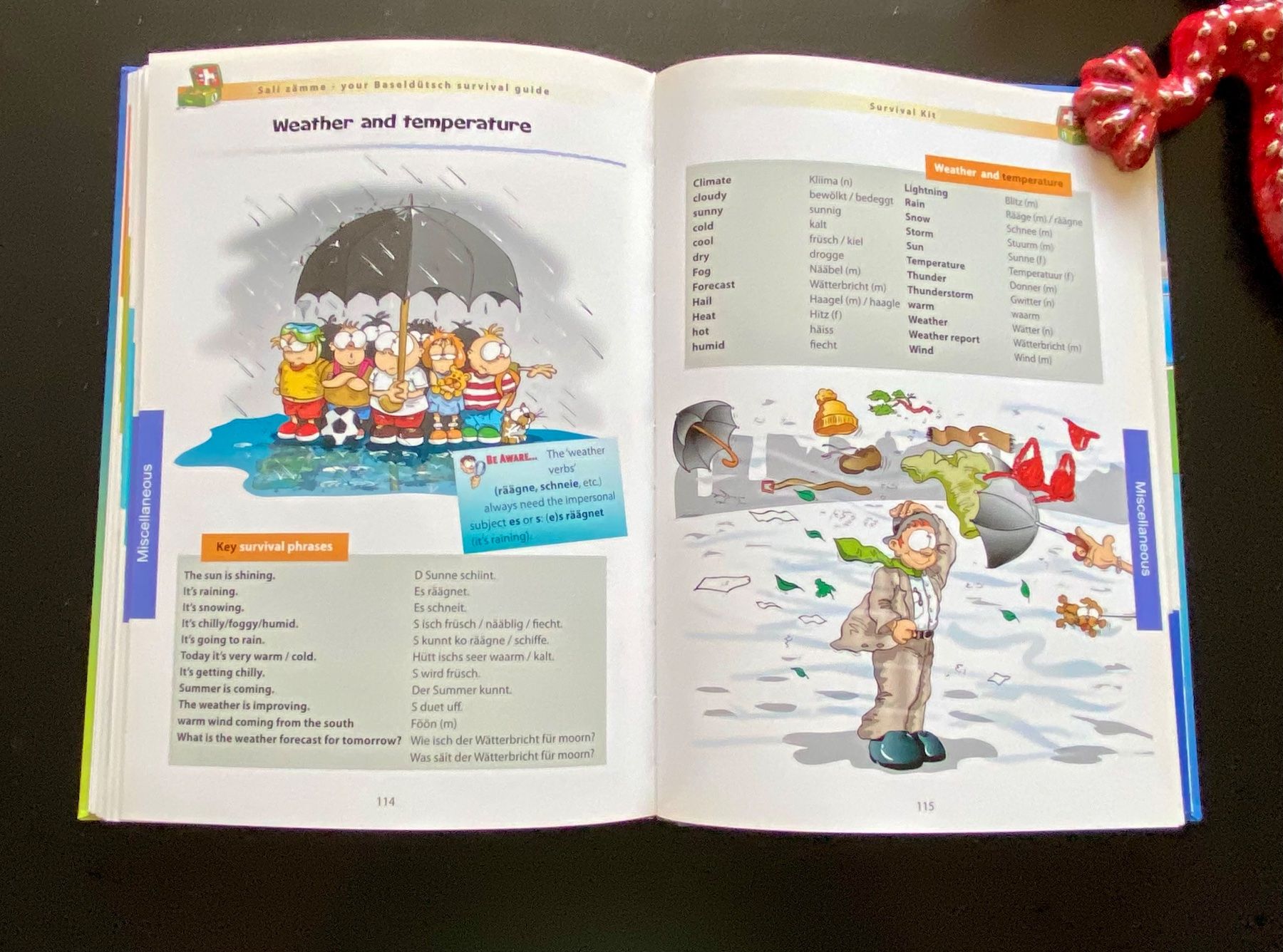 Bücher: Sali zämme your Baseldütsch survival guide – Gebraucht aus Nussbaumen AG von schuba2000 4