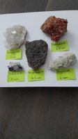 Seltene Tinaksit Stufe + 4 Mineralien, Schatzkiste 3