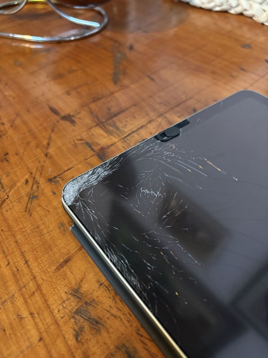 Apple Tablet PC: iPad Air 4. Generation – Gebraucht aus Zürich von lunie1234 1