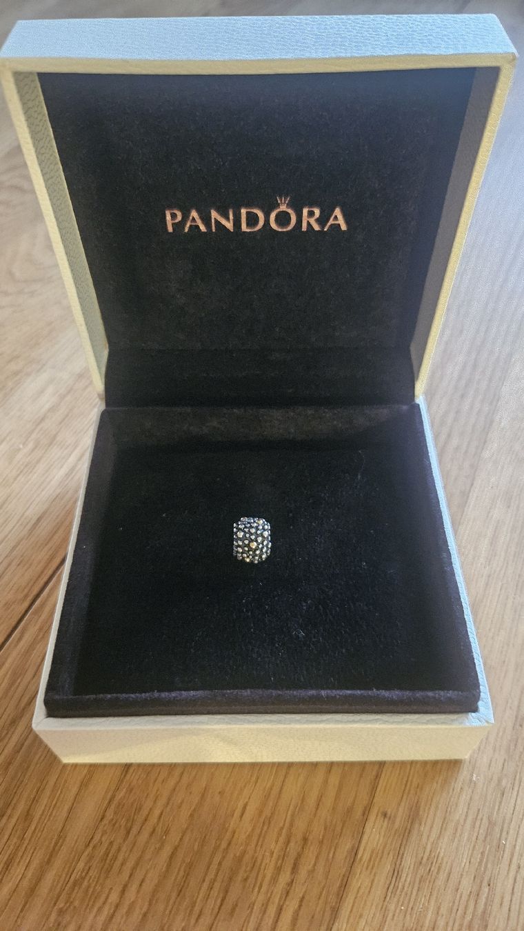 Pandora Pendentifs: Pandora Pave Charm – Neuf (Voir description) à Bern par chiaramerchi