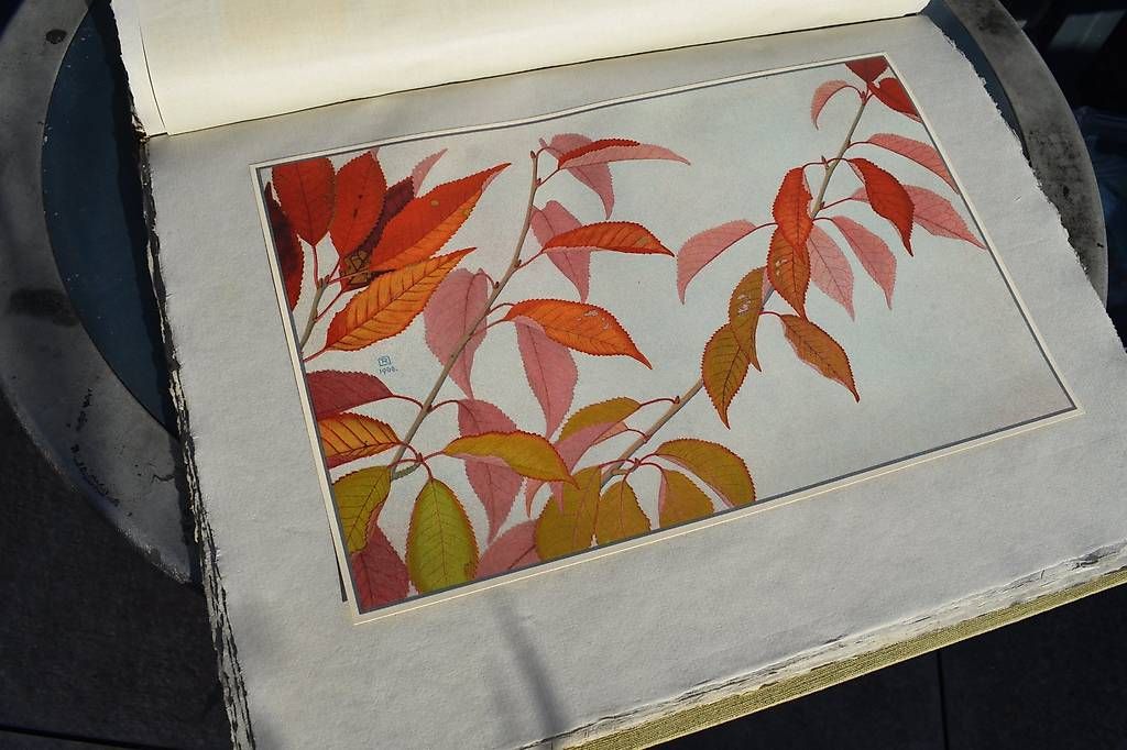 Arts picturaux & lithographies: Feulles d'Automne Edit. Ph.Robert Ried Bienne 1909. – D'occasion à Brügg BE par Aristotolius 1