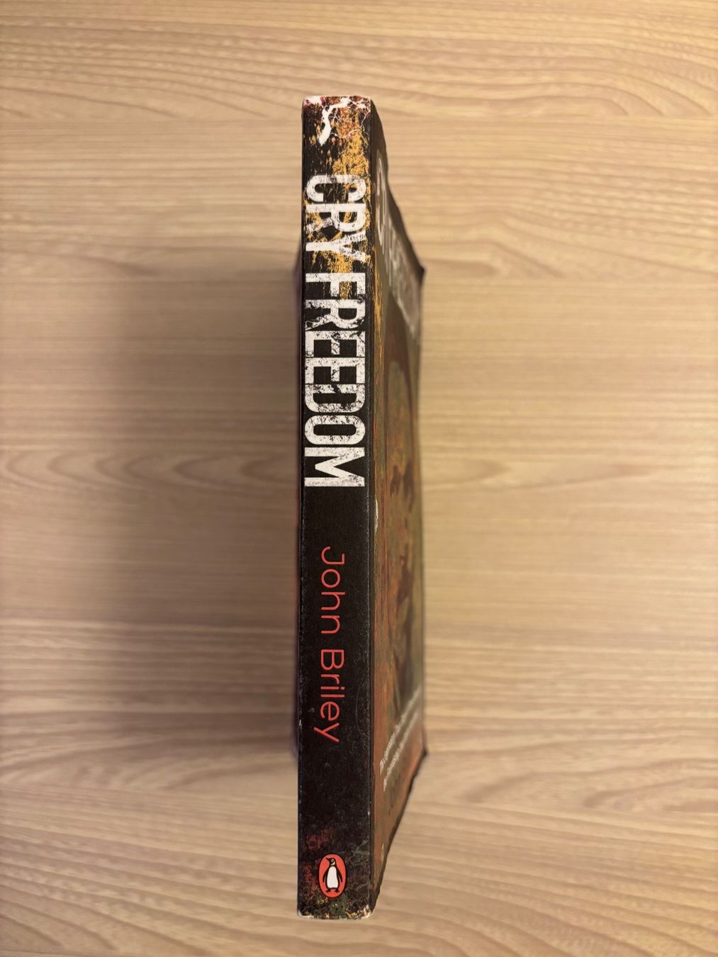 Libri: Cry Freedom, John Briley – Usato da Niederrohrdorf venduto da Madoqua 2