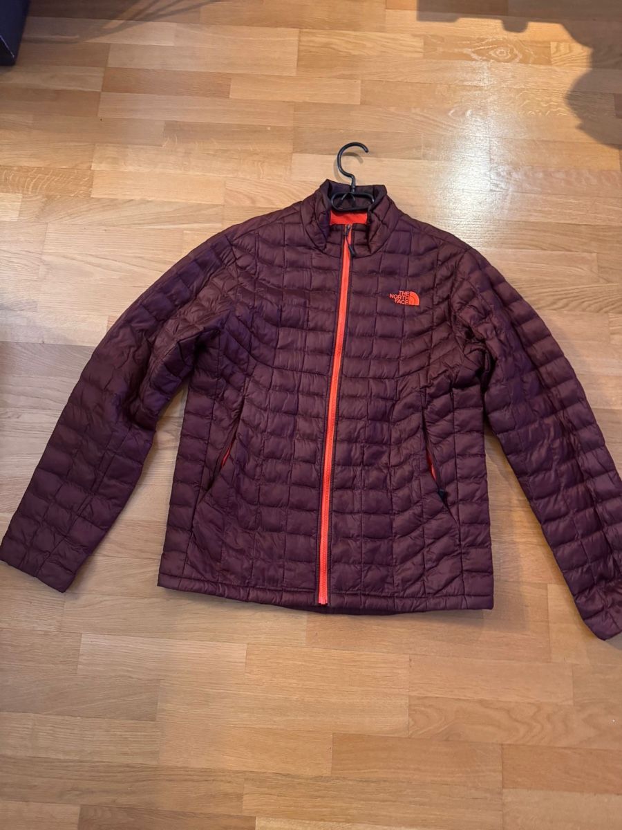 Giacche: Jacke  TheNorth Face – Usato da Hochdorf venduto da tom_55hc