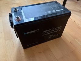 Renogy 12V 300Ah LiFePO4 Lithium Batterie Core Mini, neu