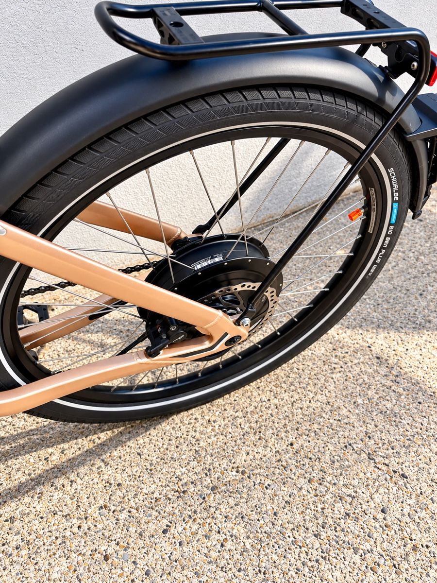 Stromer Biciclette: STROMER ST1X 2020 45km/h – Usato da Herisau venduto da Bytimothy 6